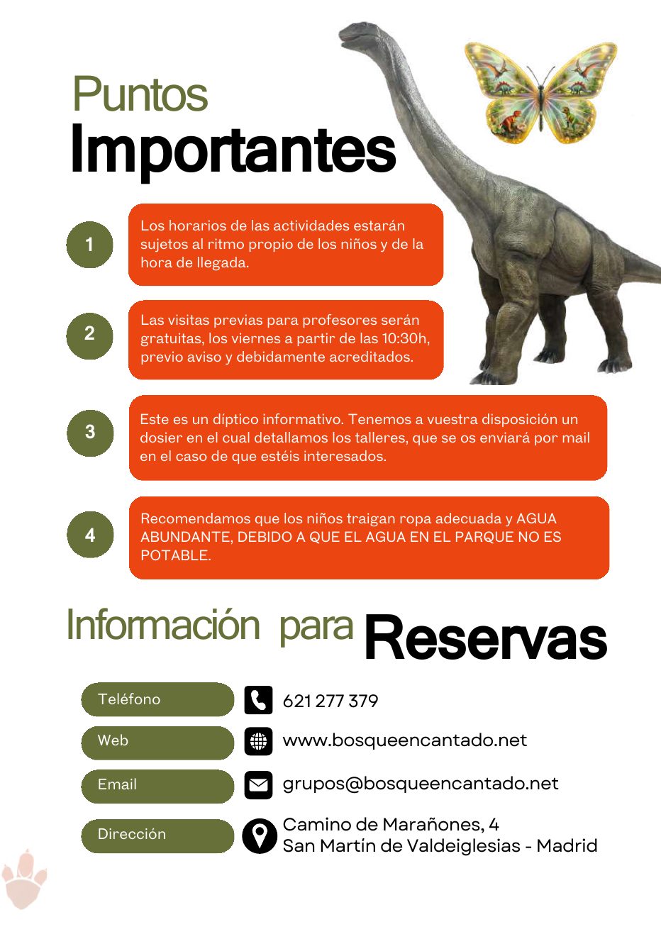 Talleres niños Dinolandia — página 8 de 8