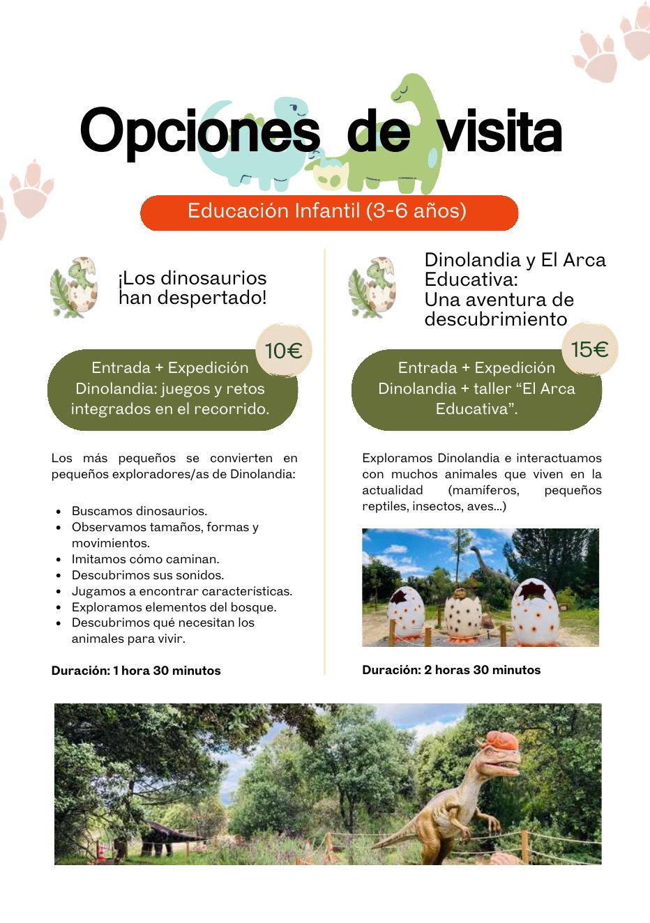 Talleres niños Dinolandia — página 3 de 8