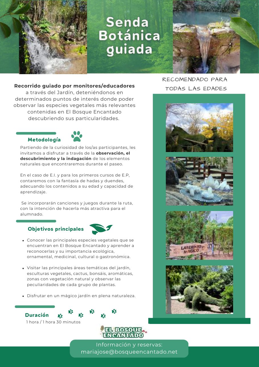 Dossier ESO, FP y adultos — página 3 de 8