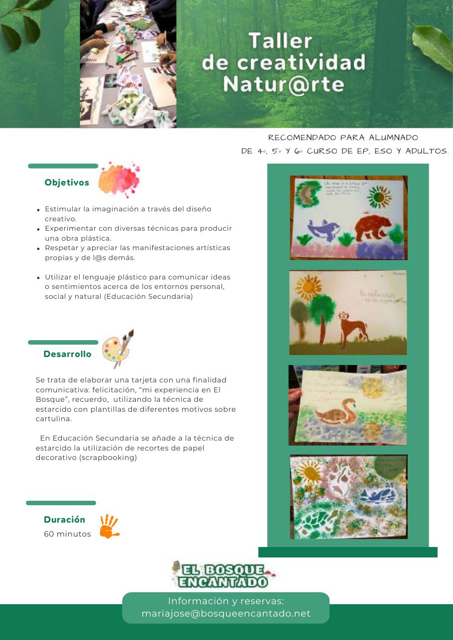 Dossier ESO, FP y adultos — página 4 de 8