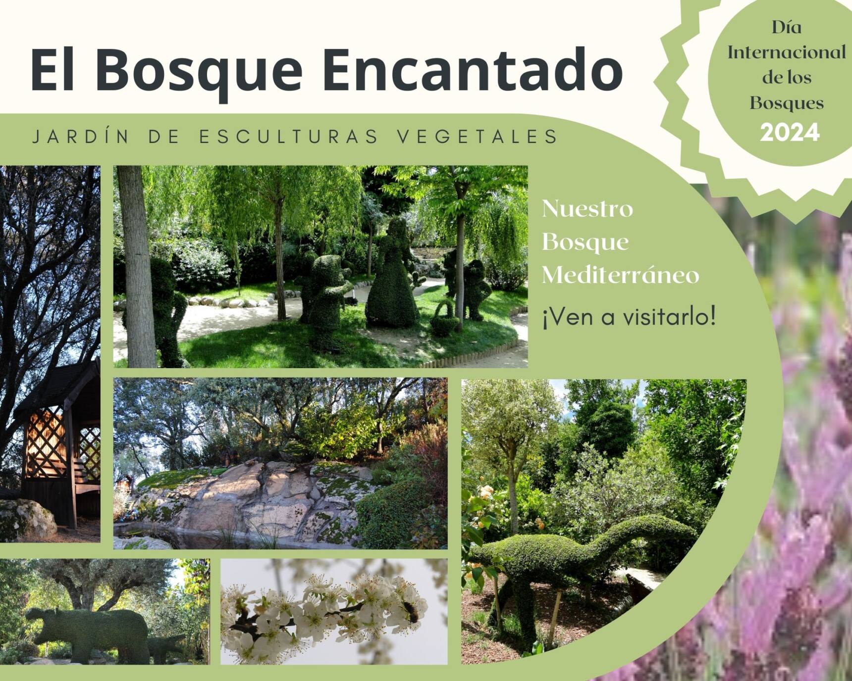 Nature in El Bosque Encantado