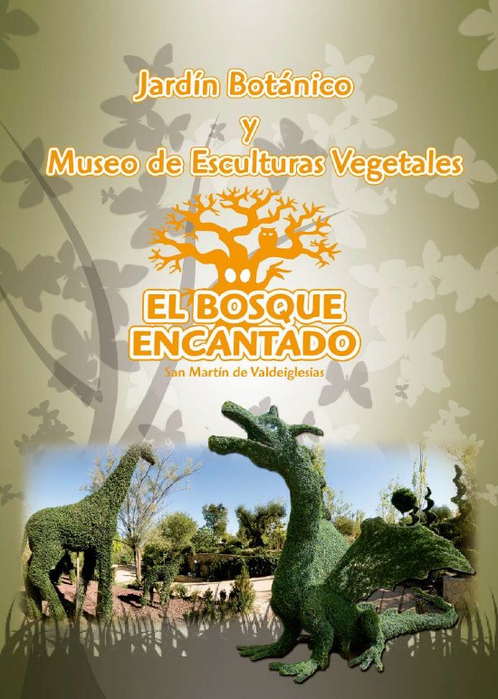 After-school activities in Madrid