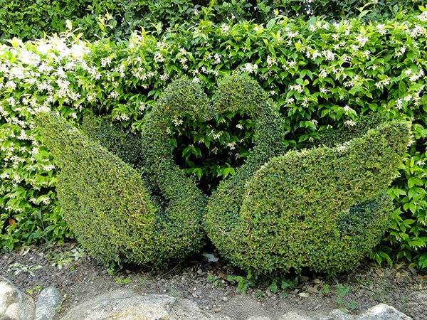 Escultura vegetal de El Bosque Encantado