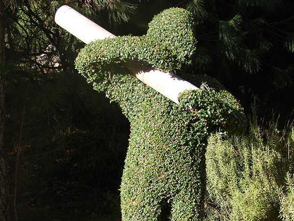 El leñador, escultura vegetal viva