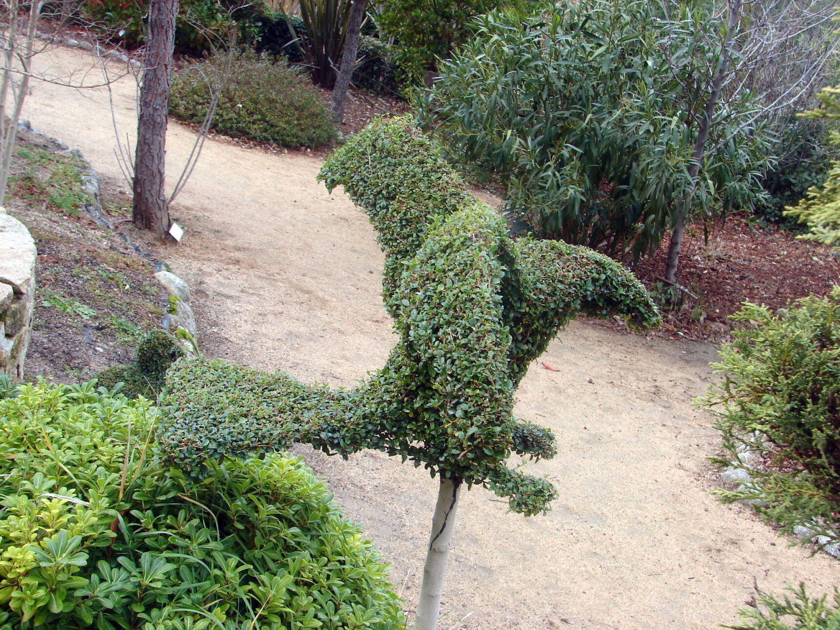 El Bosque Encantado, un jardín botánico único en Europa que se encuentra en San Martín de Valdeiglesias, Madrid