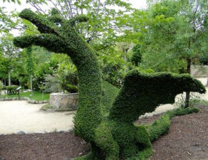 Plan con niños en Madrid, Cosas que hacer en Madrid hoy: visitar El Bosque Encantado en San Martín de Valdeiglesias