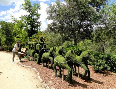 Parque Bosque Encantado en San Martín de Valdeiglesias