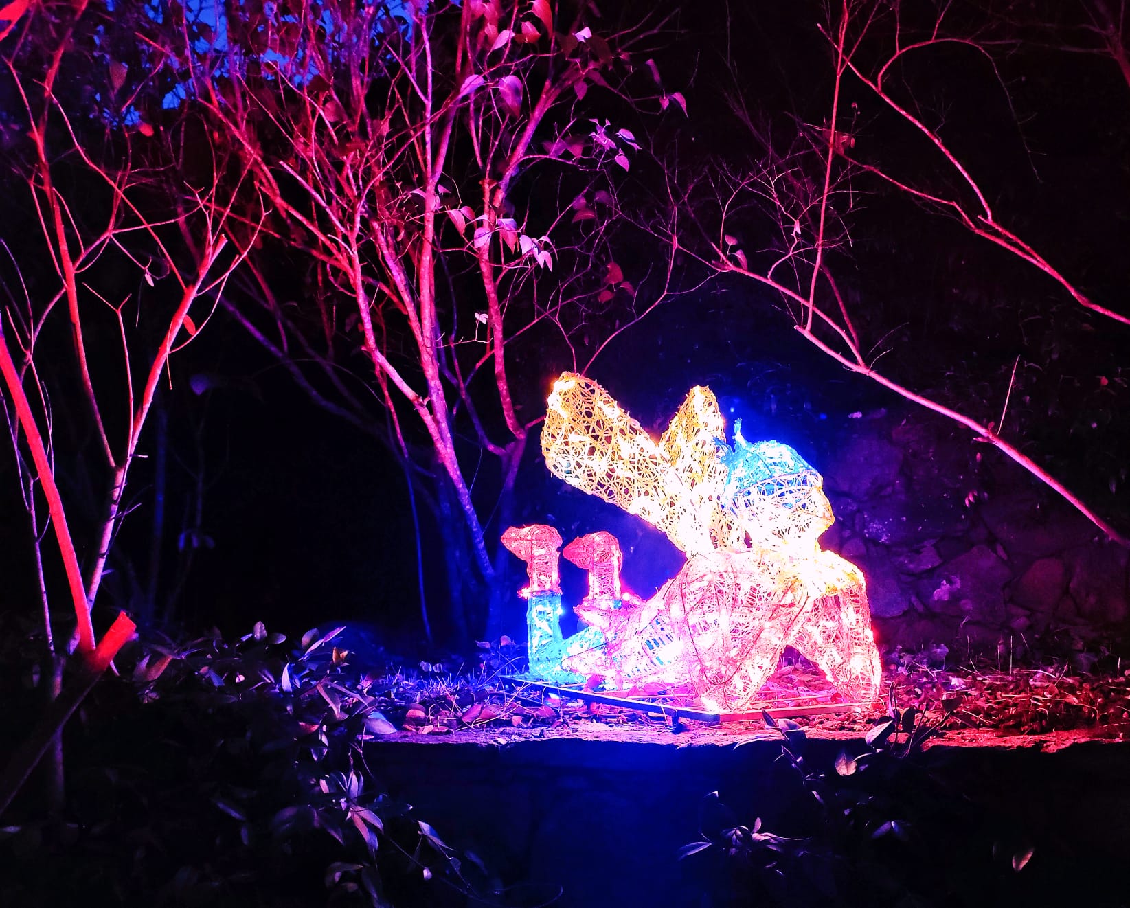 El Bosque Encantado de noche, un jardín botánico único en Europa que se encuentra en San Martín de Valdeiglesias, Madrid. Naturaleza en El Bosque Encantado