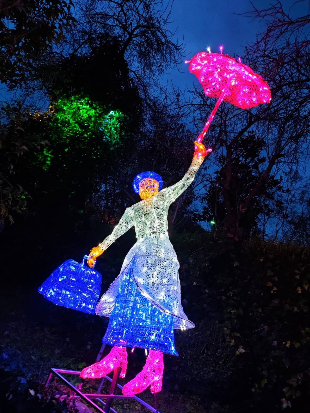 El Bosque Encantado de noche, un jardín botánico único en Europa que se encuentra en San Martín de Valdeiglesias, Madrid