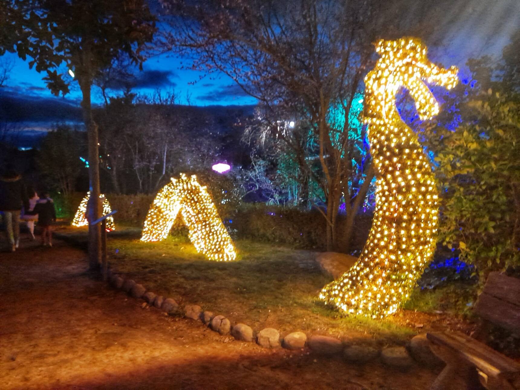 El Bosque Encantado de noche, un jardín botánico único en Europa que se encuentra en San Martín de Valdeiglesias, Madrid