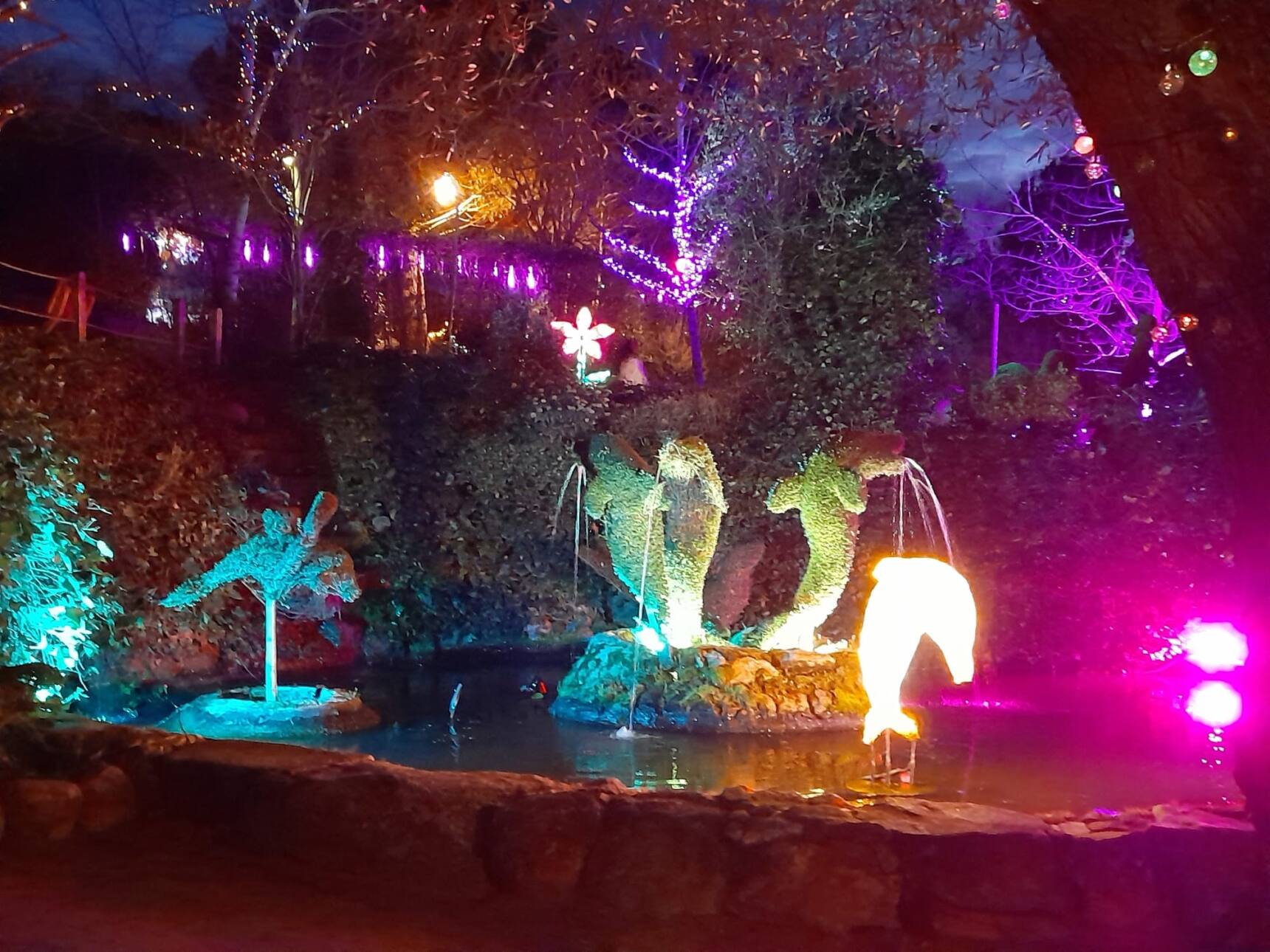 fotonoche3_elbosqueencantado El Bosque Encantado de noche, un jardín botánico único en Europa que se encuentra en San Martín de Valdeiglesias, Madrid