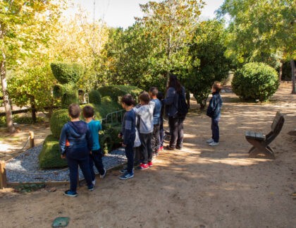 Actividades extraescolares en El Bosque Encantado de San Martín de Valdeiglesias