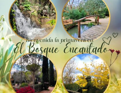 Planes para primavera. Visita El Bosque Encantado en San Martín de Valdeiglesias