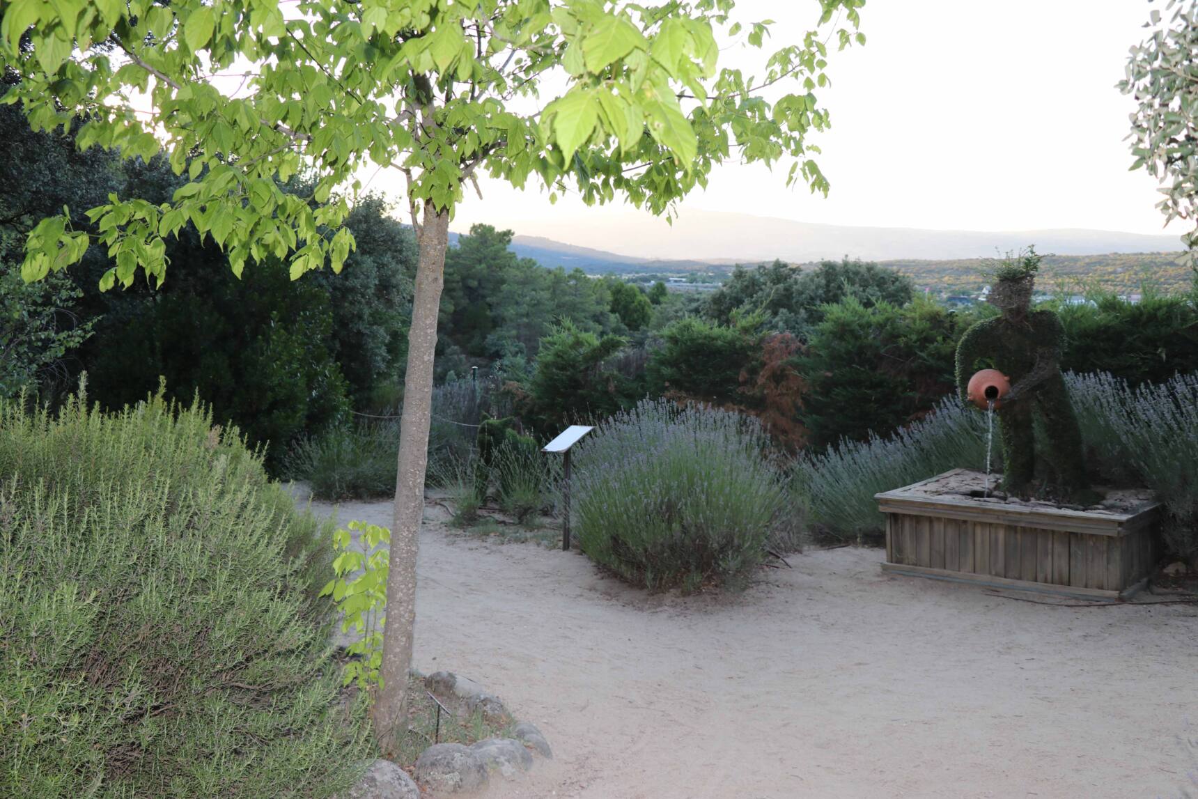 Planes para hacer en verano: explorar El Bosque Encantado de San Martín de Valdeiglesias. Son muchos los pueblos cercanos que hay de este jardín botánico.