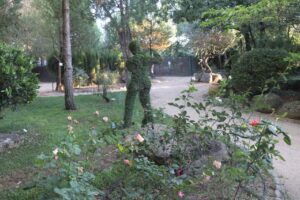 Planes para hacer en verano: explorar El Bosque Encantado. Y dónde está El Bosque Encantado. En San Martín de Valdeiglesias.