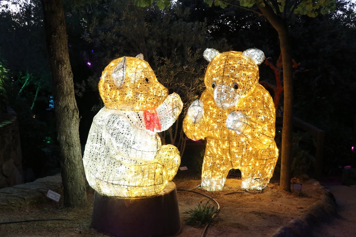 El Bosque Encantado de noche, Jardín Botánico en San Martín de Valdeiglesias. Cosas que hacer en Madrid en verano