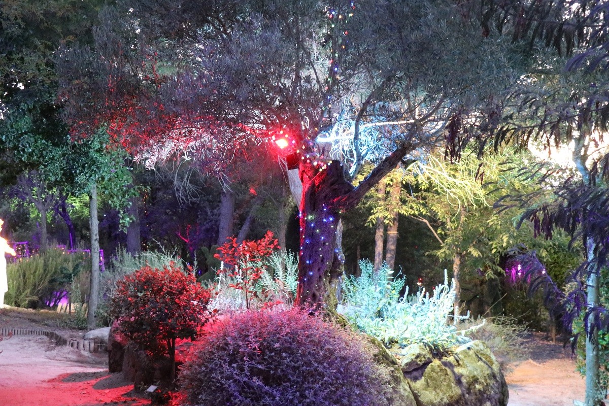 El Bosque Encantado de noche, Jardín Botánico en San Martín de Valdeiglesias Cosas que hacer en Madrid en verano