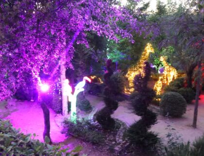 El Bosque Encantado de noche, Jardín Botánico en San Martín de Valdeiglesias. Jardín encantado que no puedes dejar de visitar