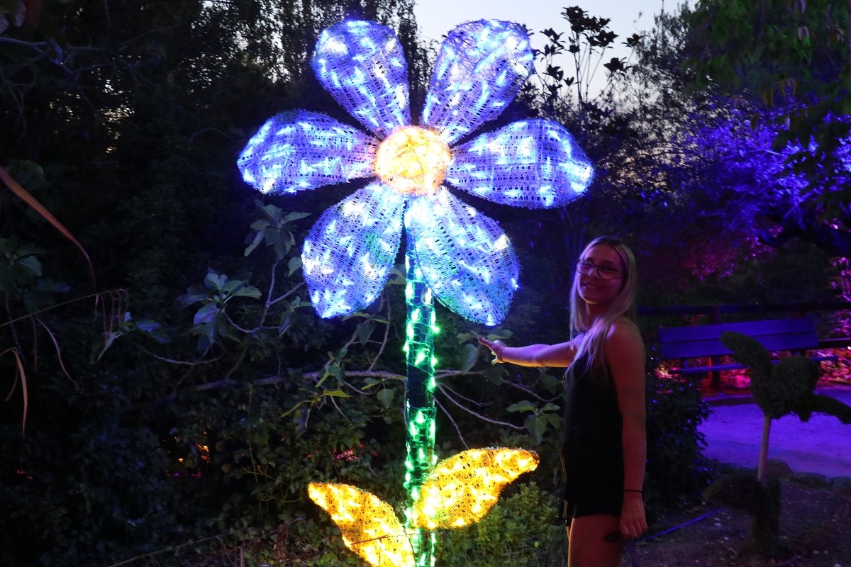 Bosque Encantado de noche, Jardín Botánico en San Martín de Valdeiglesias