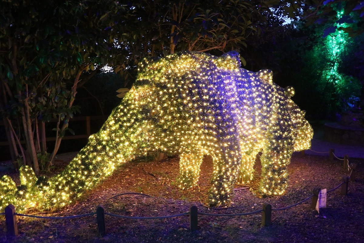 El Bosque Encantado de noche, Jardín Botánico en San Martín de Valdeiglesias