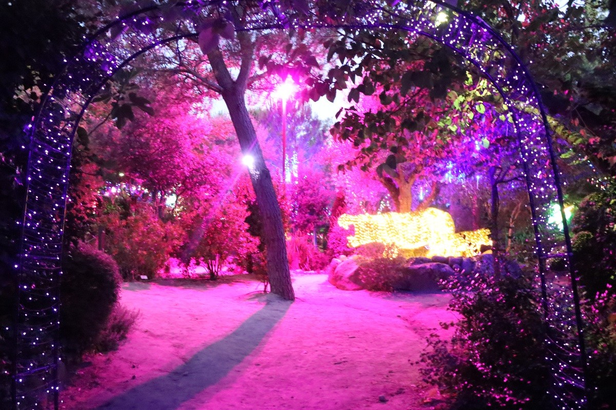 El Bosque Encantado de noche, Jardín Botánico en San Martín de Valdeiglesias. Una actividad excelente para disfrutar de Madrid en verano