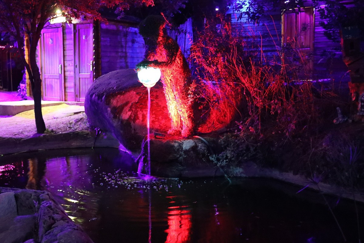 El Bosque Encantado de noche, Jardín Botánico en San Martín de Valdeiglesias. El mejor turismo en Madrid.