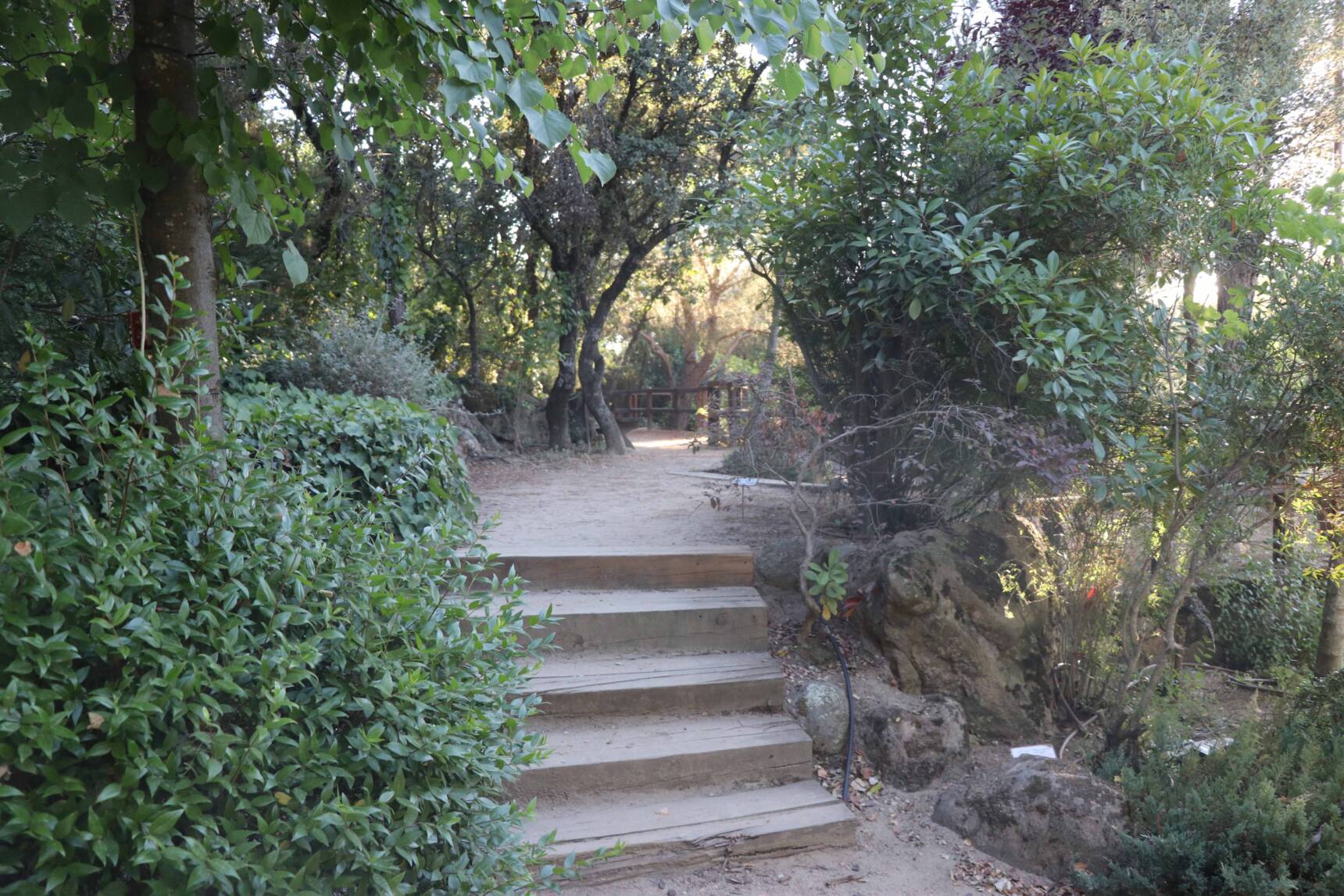 Planes para hacer en verano: explorar El Bosque Encantado de San Martín de Valdeiglesias