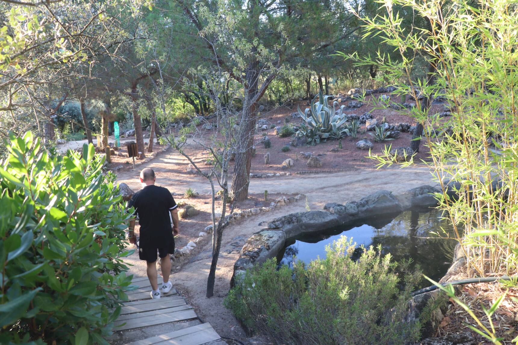 Planes para hacer en verano: explorar El Bosque Encantado de San Martín de Valdeiglesias