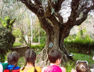 Plan cerca de Madrid. El mejor de los planes con niños es visitar El Bosque Encantado de San Martín de Valediglesias. Planes para primavera y para cualquier otra estación.