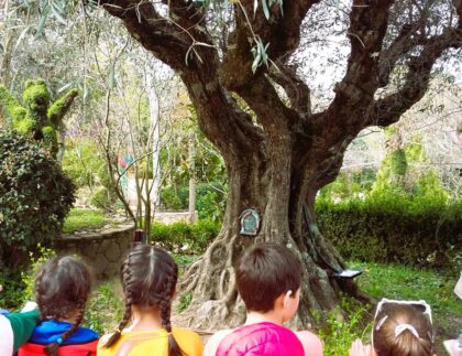 Plan cerca de Madrid. El mejor de los planes con niños es visitar El Bosque Encantado de San Martín de Valediglesias. Planes para primavera y para cualquier otra estación.