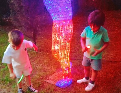 Plan infantil: El Bosque Encantado en Madrid se convierte en todo un espectáculo de luces al anochecer