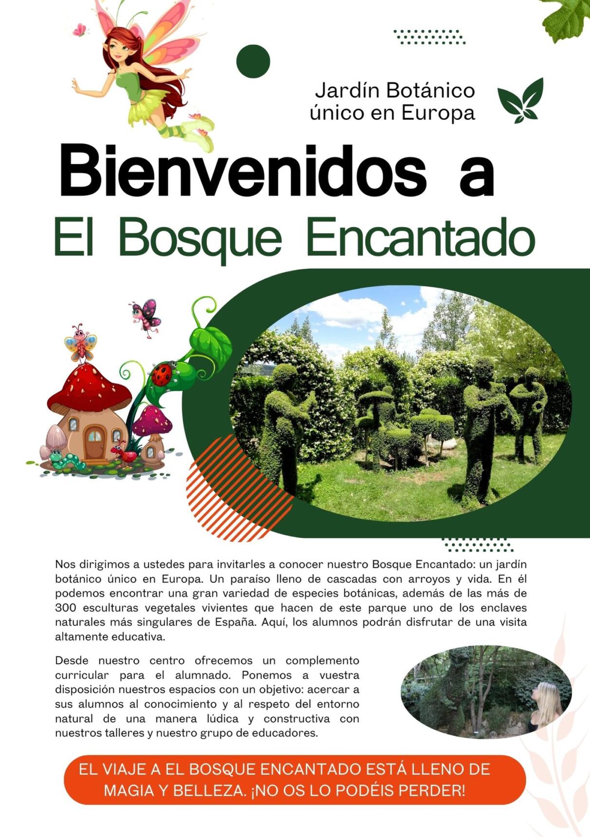 Visitas de grupo y excursiones escolares en El Bosque Encantado