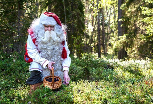 Actividades para niños en Navidad. Papá Noel en El Bosque Encantado