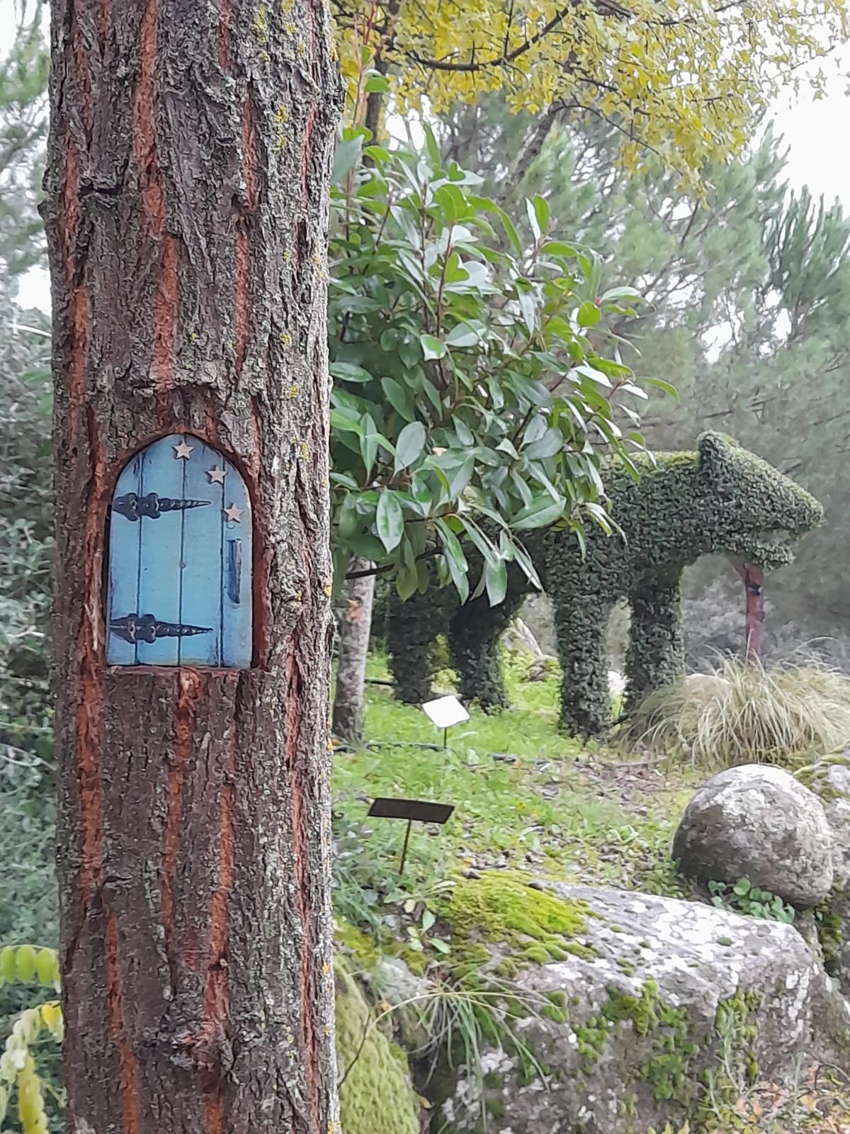 El Bosque Encantado, actividades para niños en Navidad