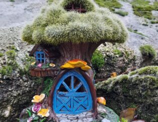 El Bosque Encantado, actividades para niños en Navidad