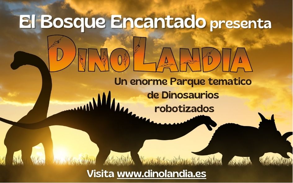 Banner 4 (970 x 90 px)