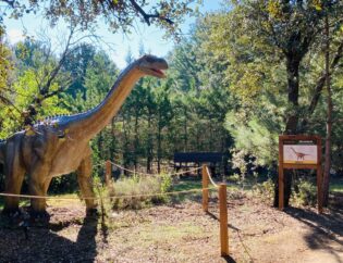 Dinosaurios en Madrid - Dinolandia en El Bosque Encantado