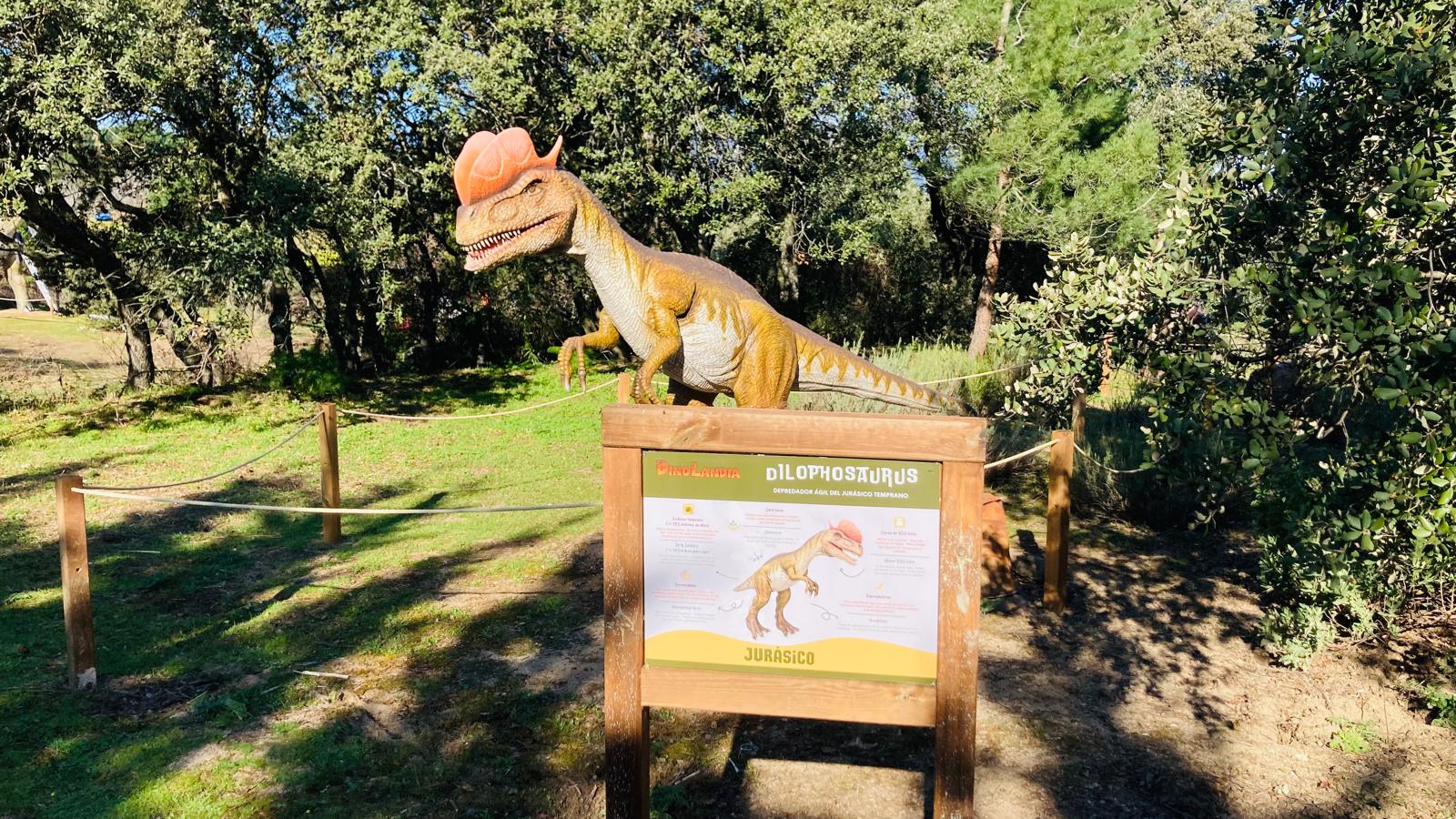 Dinosaurios en Madrid - Dinolandia en El Bosque Encantado