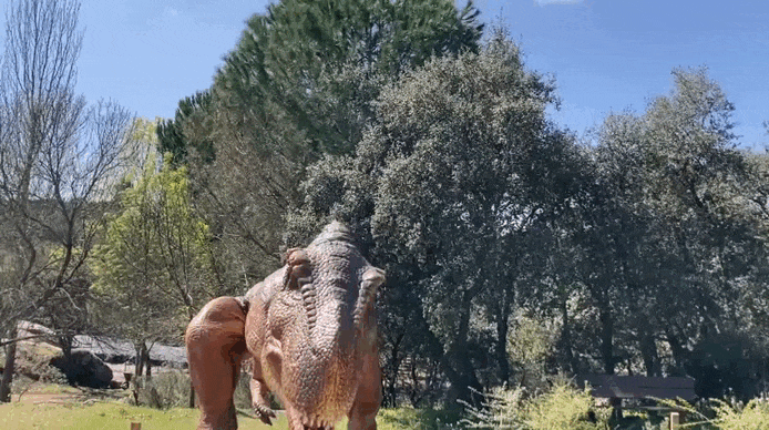 rex_gif